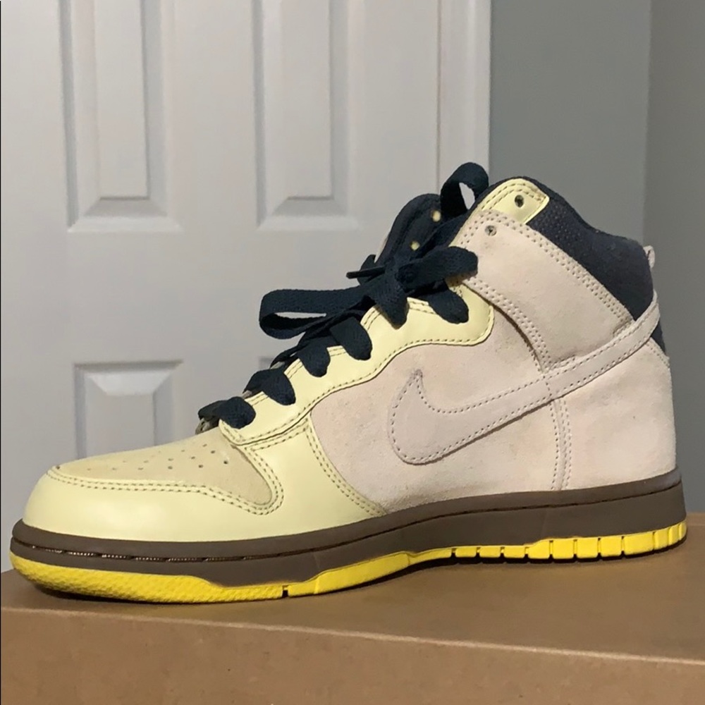 Nike Dunk High